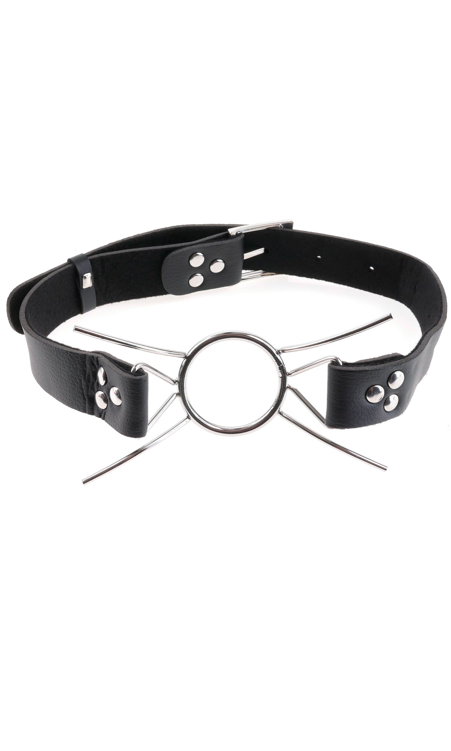 Fetish Fantasy Extreme Deluxe Ball Gag and Nipple Clamps